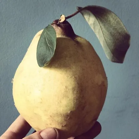 Kasteel 巴克瑟姆