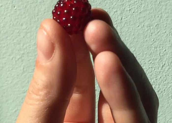 Kasteel אורחן *